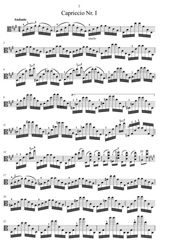 niccolò paganini/pdf download/ Bearbeitung/transcription