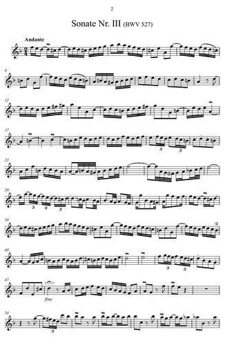 j s bach/ bwv 527/ trio/ sheet music