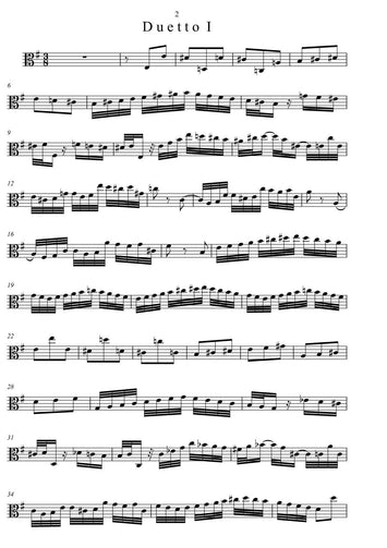 classical music/violin and viola