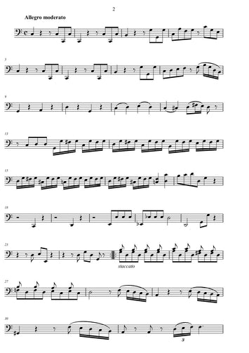 Wolfgang Amadeus Mozart/transcription/ musicsheets
