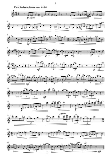 Schmidt/ trio for strings