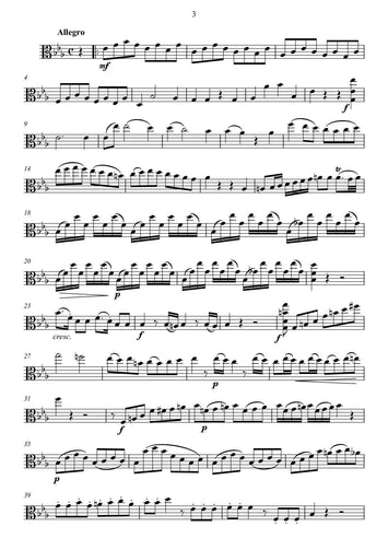 beethoven/ kammermusik/ bratsche