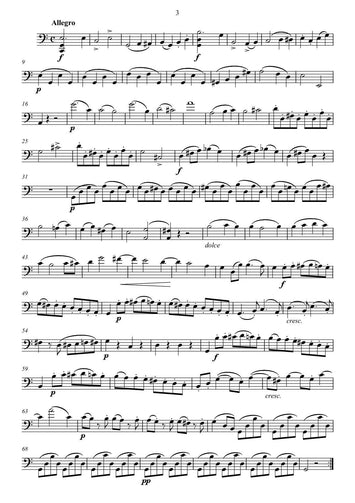 Friedrich August Kummer/ duo strings