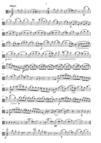 Friedrich August Kummer/ duo /transkribieren