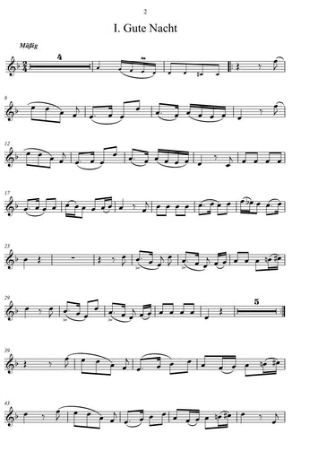 pdf download/ Franz Schubert/winterreise