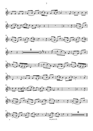 franz schubert/winterreise/bearbeitung