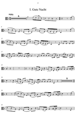 schubert Franz/winterreise schubert