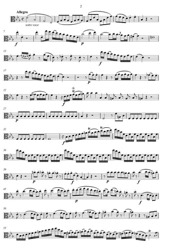 Wolfgang Amadeus Mozart/Streichtrio/sheet music