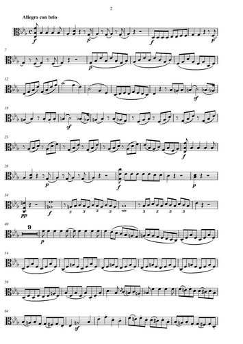 beethoven/ music sheet