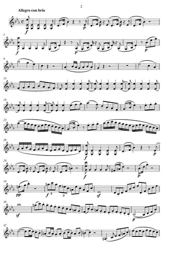 Beethoven/pdf download/ kammermusik