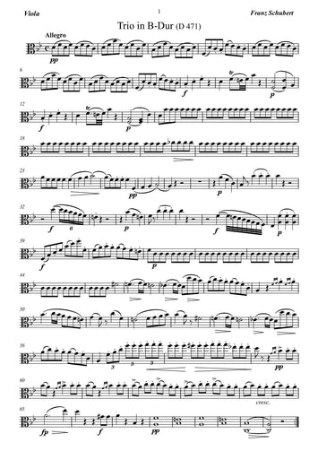 Franz Schubert/ trio/ strings