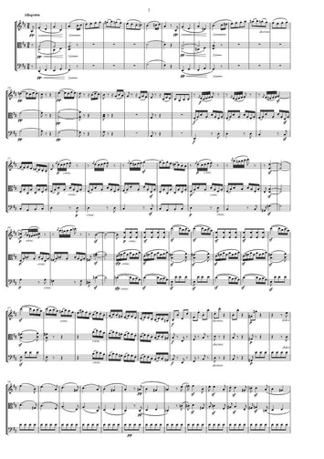 l van beethoven/ partitur