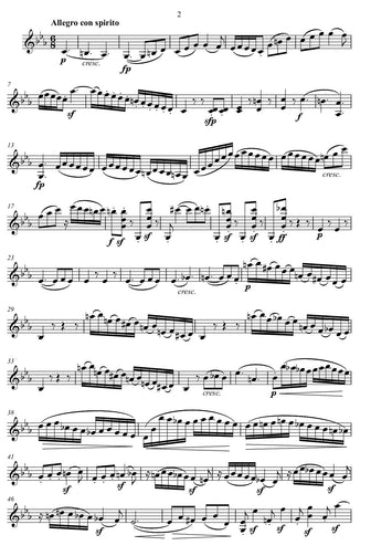 ludwig beethoven/ music sheet