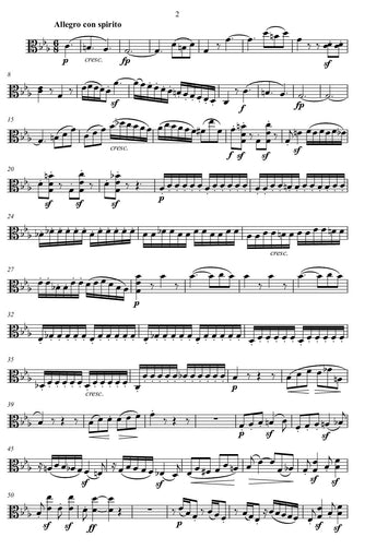 beethoven/klassik musik