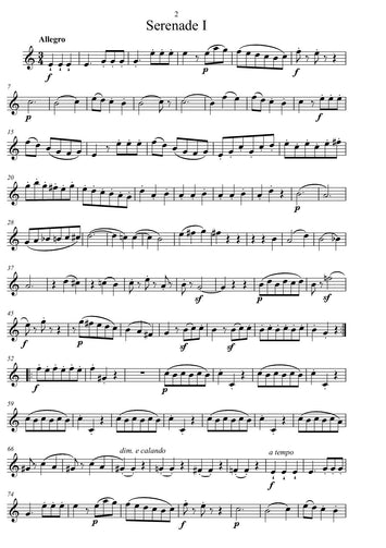 Wolfgang Amadeus Mozart/serenade/Bearbeitung