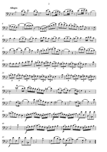 Wolfgang Amadeus Mozart/musik noten/ download pdf