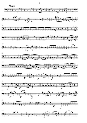 Wolfgang Amadeus Mozart/ amadeus Mozart/cello duo/Bearbeitung