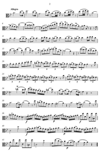 Wolfgang Amadeus Mozart/ Duo/ musik noten