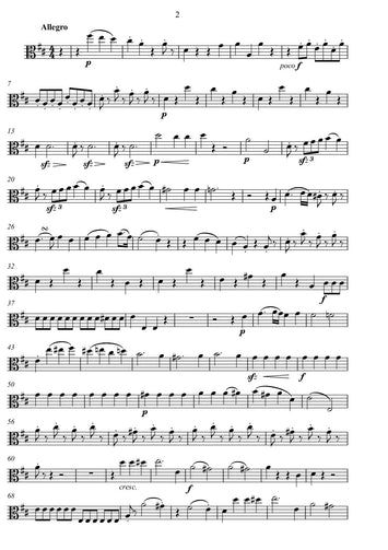 Ignaz Joseph Pleyel/Bearbeitung/streichtrio/musicsheets