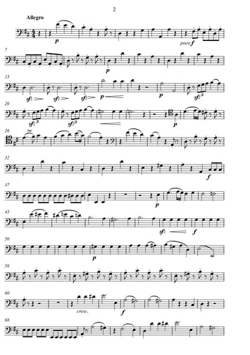 Ignaz Pleyel/ download pdf/ trio/ transkribieren