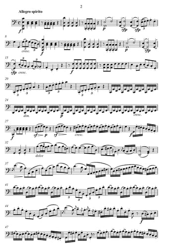 Ignaz Pleyel/virtuos/ duo/ transposition