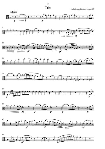 Ludwig Beethoven/ download pdf