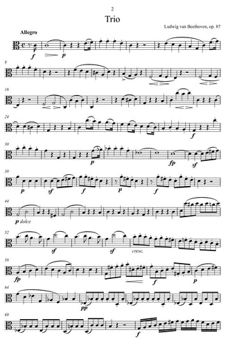 beethoven/sheet music/ transkription