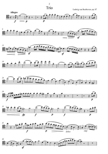 Beethoven/trio/ sheet music