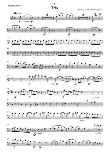 Beethoven/transkribieren/ Transkription/ music sheet
