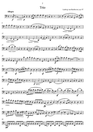 Beethoven/ transkription/ bearbeitung