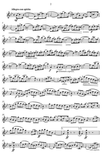 Sebastian Lee/ Bearbeitung/klassik