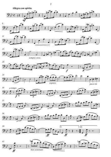 Sebastian Lee/violine violoncello/duo
